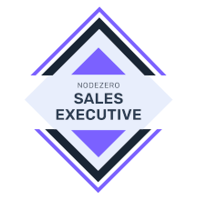 Nodezero sales executive