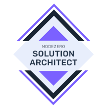 Nodezero solution architect